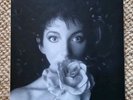 Kate Bush Remastered in Vinyl 2  Hounds Of Love Red Shoes Sensual World Box Set