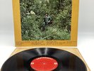 ROBERTO CARLOS in Gato En La Obscura (CAYTRONICS VINYL LP) VG+ (scarce )