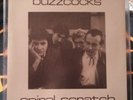Buzzcocks Spiral Scratch E.P. White Labels Card Insert Plastic Slipcover EX/EXℹ️