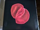 Peter Gabriel - Scratch My Back LP PGLP12 - 2010