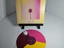 HOTEL POOLS- Fall '18 Vinyl LP Tri- Color Wheel Repress