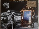 Dream Theater – Awake  2 x LP Silver, Limited Edition, 2000 Numbered SEALED