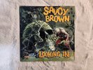 Savoy Brown Looking In Vinyl 1ST 1970 PAS 71042 OG LP Gatefold EX Blues Rock