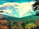 Tame Impala - Innerspeaker - New Vinyl Record - 83 - X99z