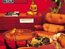 Morcheeba: Big Calm ( RED 2024) -  LP vinyl *SEALED*