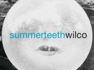 Summerteeth by Wilco LP Record Like New Jeff Tweedy Indie Rock Alternative 90s