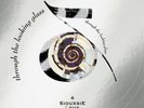 SIOUXSIE & THE BANSHEES-Through the Looking Glass (2024)New NAD Clear Vinyl LP