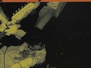 Refused Everlasting (Ep) (Vinyl)