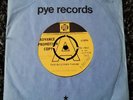Rare Cult Theme Promo 45 Tony Hatch Orchestra Doctors/ Love Song 7N17864 1969