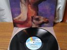 The Roches ‎– We Three Kings RARE LP Vinyl 1990 MCA Records MCA-10020 EX/VG+