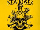 The New Roses Attracted to Danger (Vinyl) 12
