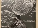 The Sundays - Reading, Writing and Arithmetic (2018 RSD Vinyl LP) STILL SEALED
