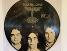 Rose Hill Drive, Picture Disc LP NM