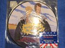 Beavis and Butt-head Do America Soundtrack - 20th Anniversary Picture Disc Vinyl