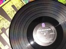 Bad Religion Vinyl LP. 