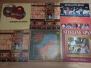 Steeleye Span - Vinyl + Silly Sisters + June Tabor - 17 Albums