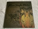 STONE TEMPLE PILOTS & Chester Bennington - High Rise 10