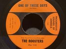 THE ROOSTERS CA. JANGLE GARAGE 45 - ONE OF THESE DAYS/YOU GOTTA RUN - HEAR