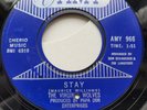 VIRGINIA WOLVES - STAY - AMY
