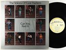 Voices Of East Harlem - Can You Feel It LP - Just Sunshine PROMO