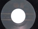 Rockabilly 45 RAY SCOTT & THE SHADES Rio Dia Rosa 61 HEAR b