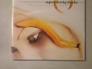 Thirteenth Step by Perfect Circle (Record, 2003)