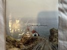The Amity Affliction - Cave In / Shine On Vinyl RARE