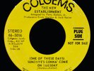 The New Establishment: (One Of These Days) Sunday's Gonna' Come Promo 45 COLGEMS
