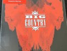 Big Country  The Buffalo Skinners 2x180g Vinyl LP 2021 Remaster VINYL NEW SEALED