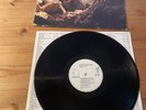 Count Five Psychotic Reaction Psych Knaller Ois Top Zustand