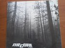 The Cure – A Forest 12
