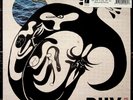 DIIV – Oshin LP (NEW** Black Vinyl) Shoegaze Indie Lo-Fi - Beach Fossils/Dive