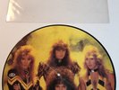 Stryper - To Hell With The Devil Picture Disc Vinyl No Poster 1987 Enigma