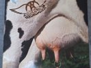 Aerosmith Get a Grip Vinyl, 1993 Geffen Records 24444, Top Zustand