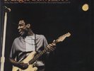 Live At Ann... Magic Sam JPN 2-LP  (Double )