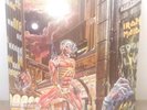 IRON MAIDEN Somewhere In Time  Vinyl LP Pic Lyric Inner Rock Metal Album