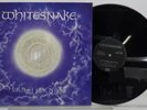 Whitesnake - Still Of The Night - 12” Vinyl Single - + Kingdom Come 12