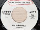 The Remarkables  Is The Feeling Still There / Easily Mislead Audio Arts - WD