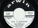 Garage 45 - Rituals - This Is Paradise/Gone - Arwin