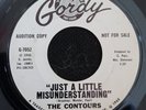 The Contours - Just A Little Misunderstanding