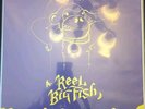 Reel Big Fish Monkeys For Nothin And Chimps For Free Test Pressing 8/24