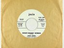 Garage Blues 45 - Jimmy Rabbit - Wishy-Washy Woman - Josie VG++