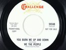 Garage Fuzz 45 - We The People - You Burn Me Up And Down - Challenge VG++