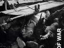 Disgust Brutality of War (Vinyl) 12