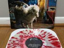 Fall Out Boy - Infinity On High - Rare Limited Ed. Clear w/Red Splatter NM/VG+