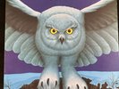 Rush Fly By Night Vinyl LP Album Anthem ANR-1-1002 Canada EX Original