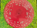 Kasabian - Happenings Vinyl Limited  (Trippy Shroom) #/2000