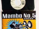 LOU BEGA MAMBO No. 5 (A LITTLE BIT OF..)  7