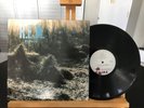 R.E.M. MURMUR I.R.S. RECORDS SP70014 USA 1983 VG+/VG