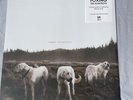 Amazing Albatross by Foxing (Record, 2014) - NEW SEALED Minor Sleeve Dmg